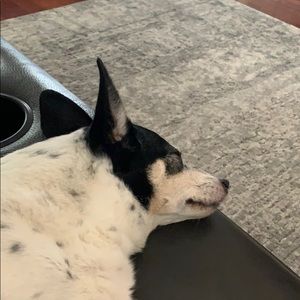 Meet your Posher, Ann